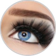 Cejas